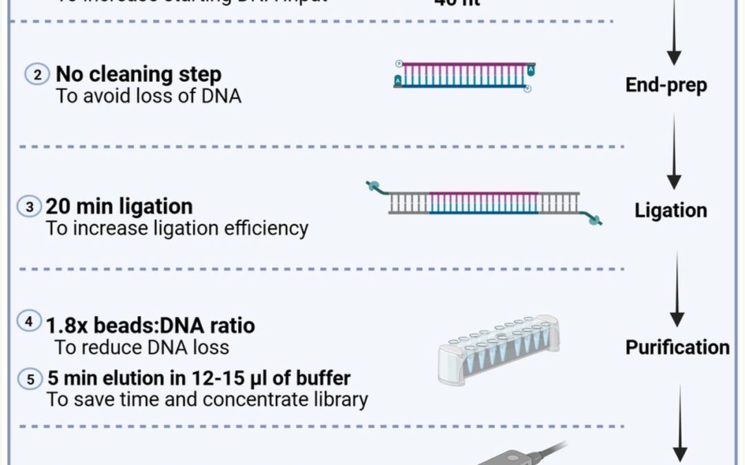 High-Performance Protocol for Ultra-Short DNA Sequencing Using Oxford Nanopore Technology
