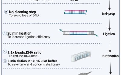 High-Performance Protocol for Ultra-Short DNA Sequencing Using Oxford Nanopore Technology